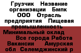 Грузчик › Название организации ­ Бмпк, ООО › Отрасль предприятия ­ Пищевая промышленность › Минимальный оклад ­ 20 000 - Все города Работа » Вакансии   . Амурская обл.,Селемджинский р-н